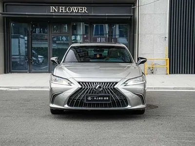 2021 Lexus ES 200 Excellence Edition, фото 2, лот 11451426