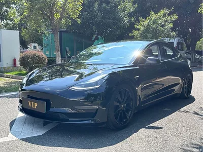 2020 Tesla Model 3 Facelift Long Range Rear-Wheel Drive, фото 1, лот 10366461