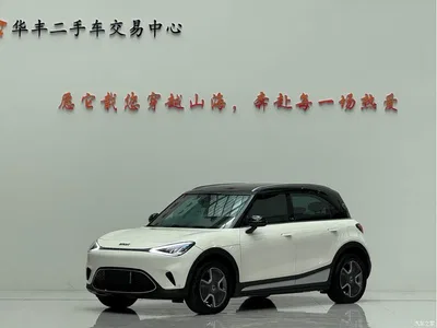 2022 smart Elf #1 Premium Edition, фото 1, лот 10343540