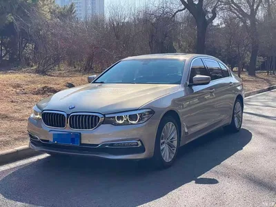 2018 BMW 5 Series 525Li Luxury Package, фото 1, лот 10450296