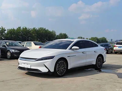 2021 BYD Han EV Standard Range Luxury, фото 1, лот 10251450
