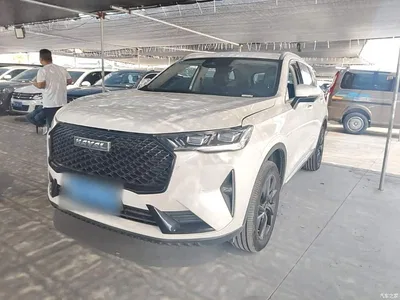 2021 Haval H6 3rd Generation 2.0T Auto AWD Max, фото 1, лот 10390040