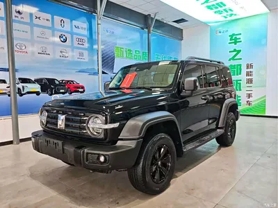 2023 Tank 300 Off-Road Edition 2.0T Conqueror, фото 1, лот 10689859