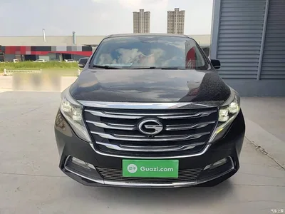 2018 GAC Trumpchi Trumpchi M8 320T Premium Edition, фото 3, лот 10422890