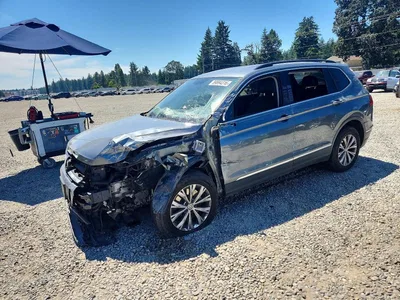 2018 VOLKSWAGEN TIGUAN SE, фото 1, лот 10827371