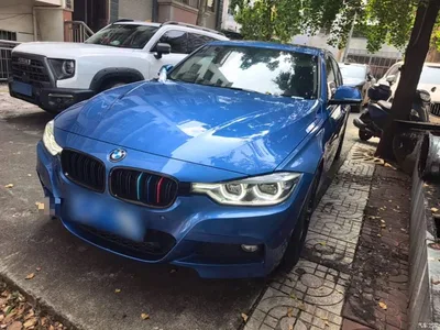 2018 BMW 3 Series 320Li Leading M Sport Package, фото 1, лот 11132527