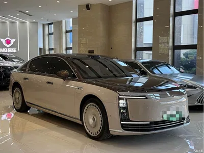 2025 Zunjie S800 Range Extender Starlight Executive 4-Seater, фото 3, лот 10361484