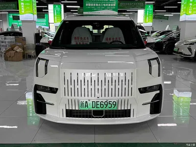 2022 ZEEKR 009 ME Edition, фото 3, лот 10290561