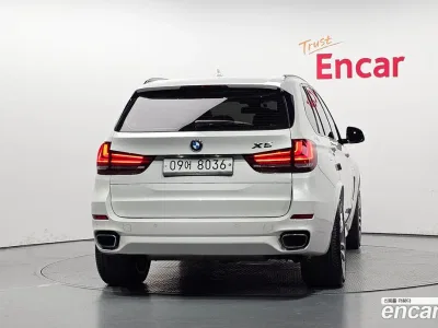 2017 BMW X5 xDrive 40d, фото 4, лот 10217323
