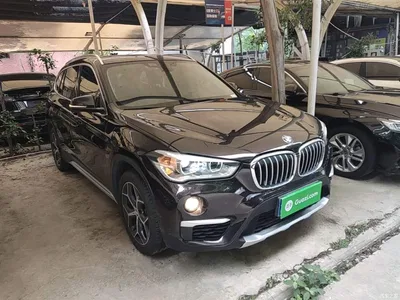2019 BMW X1 sDrive18Li Premium Model, фото 4, лот 10467961