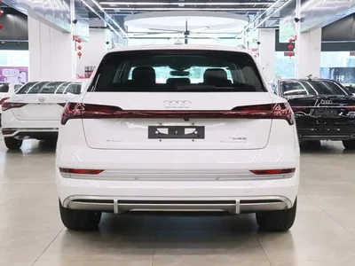 2021 Audi e-tron 50 quattro Luxury, фото 3, лот 10233295