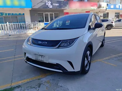 2023 BYD Dolphin 420km Freedom Edition, фото 1, лот 11545461