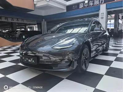 2019 Tesla Model 3 (Import) Long Range All-Wheel Drive Edition, фото 3, лот 10454043