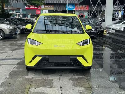 2023 BYD Seagull Flying Edition, фото 2, лот 10253937