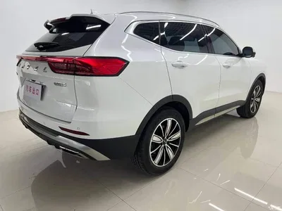 2023 Haval H6 National Trend Edition 1.5T Automatic Champion, фото 4, лот 10887982