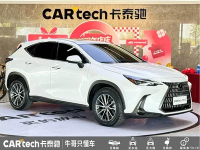 2022 Lexus NX 260 FWD Joy Creation Edition, фото 3, лот 10314965