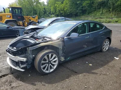 2019 TESLA MODEL 3, фото 1, лот 10855468
