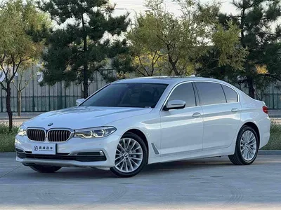 2020 BMW 5 Series 530Li Leading Luxury Package, фото 1, лот 10448934
