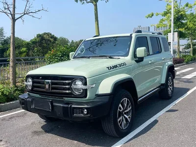 2024 Tank 300 2.0T Explorer, фото 1, лот 10344989