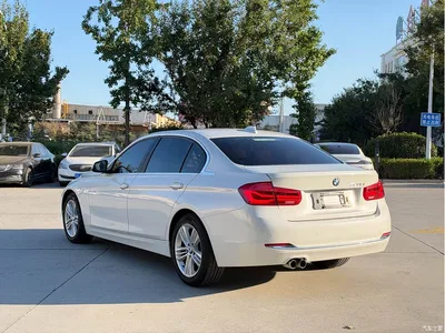 2017 BMW 3 Series 320Li Fashion, фото 3, лот 11023537