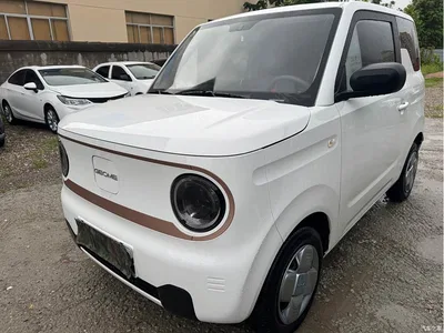 2024 Geely Galaxy Panda mini 200km Endurance Bear, фото 3, лот 10432293