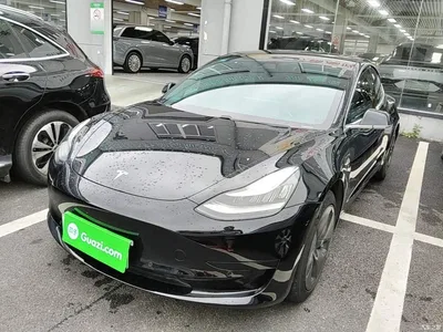2020 Tesla Model 3 Standard Range Rear-Wheel Drive Upgrade, фото 1, лот 11220742