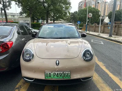 2021 Ora Good Cat 400km Standard Range Athena Edition (LFP), фото 2, лот 10352923