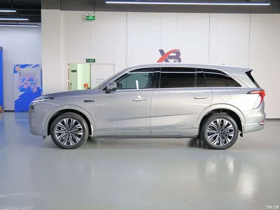 2023 WEY Lanshan AWD Ultra Long Range Edition, фото 2, лот 10306594