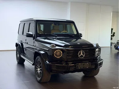 2020 Mercedes-Benz G-Class G 500 Time Inscription Special Edition, фото 3, лот 11139174