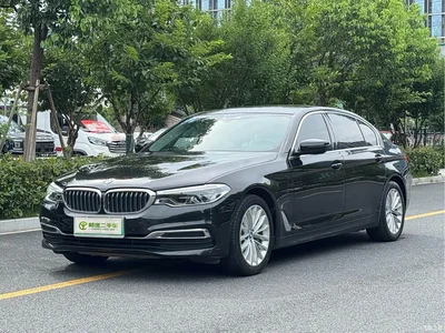 2019 BMW 5 Series New Energy Facelift 530Le Luxury Package, фото 1, лот 11218750