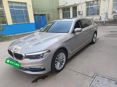 2018 BMW 5 Series 530Li Leading Luxury Package, фото 1, лот 10482677