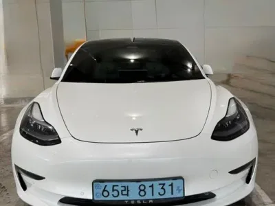 2021 Tesla Model 3 Long Range AWD, фото 1, лот 10120751