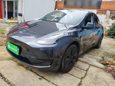 2024 Tesla Model Y Rear-Wheel Drive Version, фото 1, лот 10369619