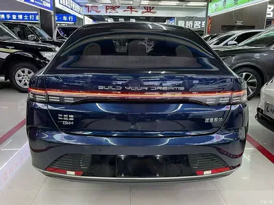 2024 BYD Destroyer 05 Glory Edition DM-i 55KM Luxury, фото 4, лот 10254753