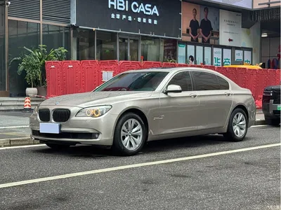 2009 BMW 7 Series 730Li Leading, фото 1, лот 10427428