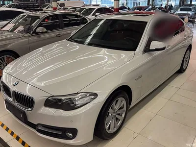2014 BMW 5 Series 520Li Elegance, фото 1, лот 11139075