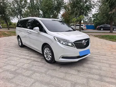 2017 Buick GL8 ES 28T Comfort Type China V, фото 3, лот 11181169