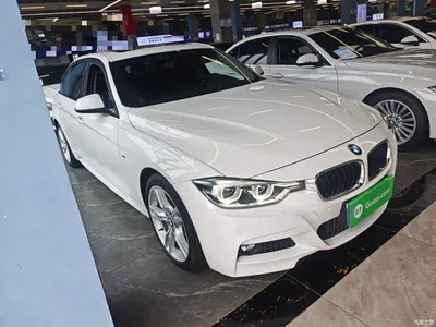 2019 BMW 3 Series 320Li M Sport Package, фото 4, лот 10457496