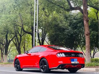 2017 Ford Mustang 2.3T Performance Edition, фото 4, лот 10829282