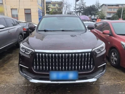2020 Leopaard Mattu 1.6T DCT Elite, фото 3, лот 11642492