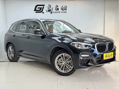 2018 BMW X3 xDrive28i M Sport Package China VI, фото 3, лот 10394563