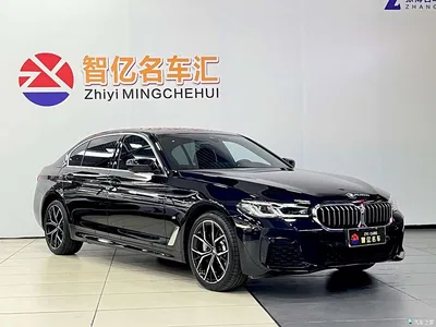 2021 BMW 5 Series Facelift 530Li Premium M Sport Package, фото 3, лот 11222302