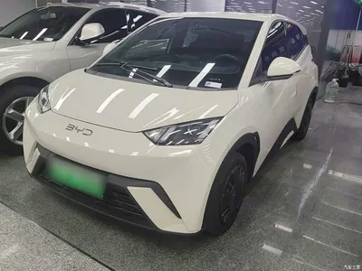 2024 BYD Seagull Glory Edition 305km Vitality Edition, фото 1, лот 10262819