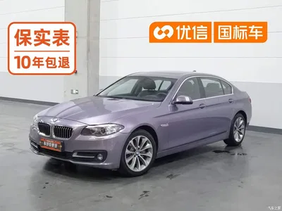 2017 BMW 5 Series 528Li xDrive Leading, фото 1, лот 11188966