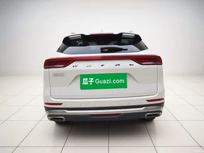 2023 Haval H6 National Trend Edition 1.5T Automatic Champion, фото 3, лот 11492729