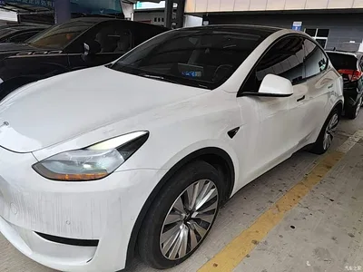 2023 Tesla Model Y Rear-Wheel Drive Edition, фото 1, лот 10461004
