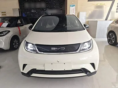 2021 BYD Dolphin Model 405km Fashion Edition, фото 3, лот 10264413