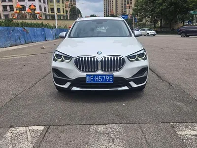 2021 BMW X1 xDrive25Li Exclusive, фото 1, лот 10465815