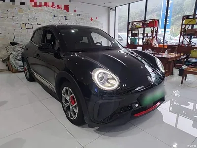 2022 Ora Good Cat GT Mulan Edition 480km Long Range, фото 4, лот 11104145