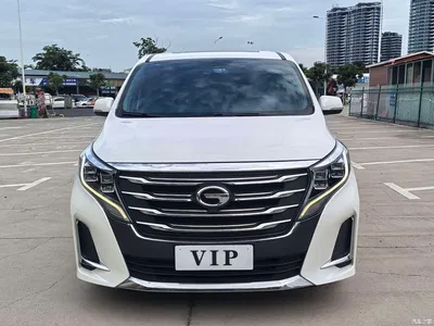 2020 GAC Trumpchi Trumpchi M8 Pilot 390T Premium Edition, фото 2, лот 10888995